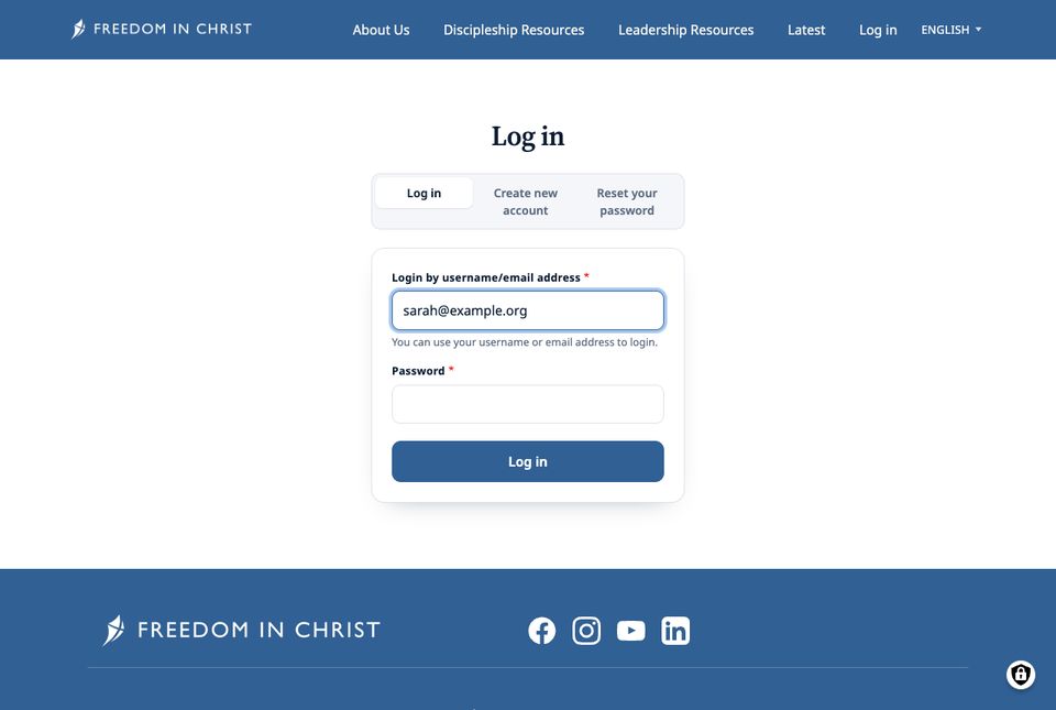 Log in form with an email address typed in